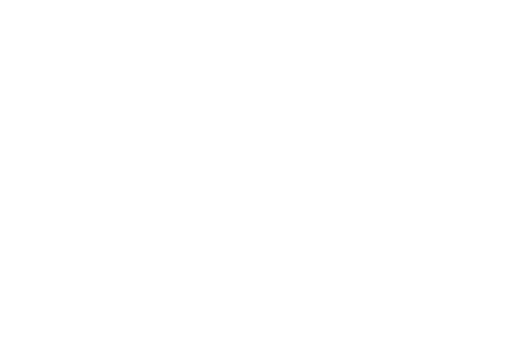 Bloor Research Logo